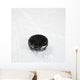 Hockey puck on ice. Wall Decal