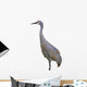 Sandhill Crane Wall Mural