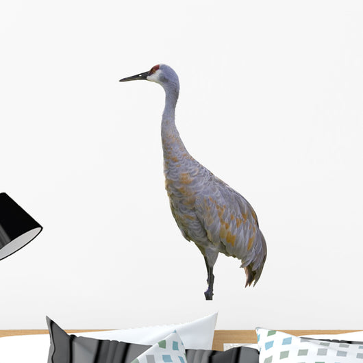 Sandhill Crane Wall Mural