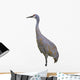 Sandhill Crane Wall Mural