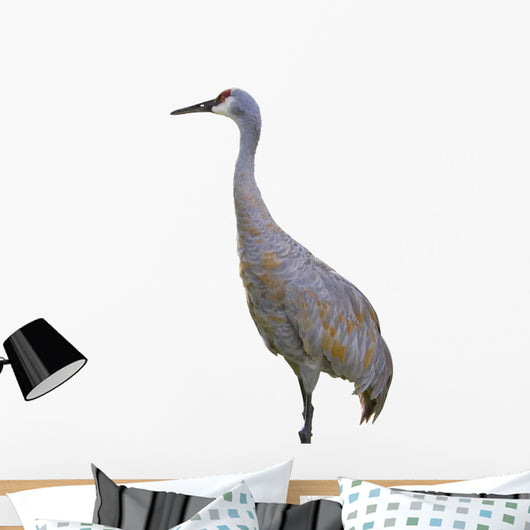 Sandhill Crane Wall Mural
