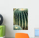 Cactus Wall Mural