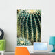 Cactus Wall Mural