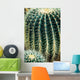Cactus Wall Mural