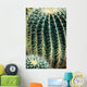 Cactus Wall Mural