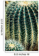 Cactus Wall Mural