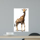 Giraffe Wall Decal