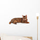 bengal kitten Wall Decal