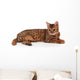 bengal kitten Wall Decal