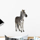 Zebra Wall Mural
