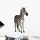 Zebra Wall Mural