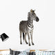 Zebra Wall Mural