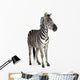 Zebra Wall Mural