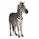 Zebra Wall Mural