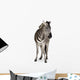 Zebra Wall Decal