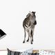 Zebra Wall Decal