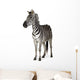 Zebra Wall Decal