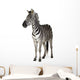 Zebra Wall Decal