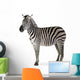 Zebra Wall Decal