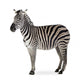 Zebra Wall Decal