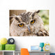 Owl Close-up Wall Mural