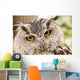 Owl Close-up Wall Mural