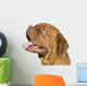 Bordeaux Mastiff 10 Months Wall Decal