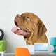 Bordeaux Mastiff 10 Months Wall Decal