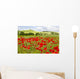 spring in Tuscany, landscape with poppies Wall Mural