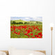 spring in Tuscany, landscape with poppies Wall Mural