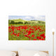 spring in Tuscany, landscape with poppies Wall Mural