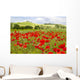 spring in Tuscany, landscape with poppies Wall Mural