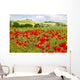 spring in Tuscany, landscape with poppies Wall Mural