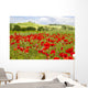 spring in Tuscany, landscape with poppies Wall Mural