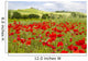 spring in Tuscany, landscape with poppies Wall Mural