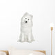 Samoyed  (6 months) Wall Decal