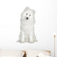 Samoyed  (6 months) Wall Decal