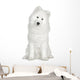 Samoyed  (6 months) Wall Decal