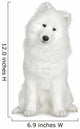 Samoyed  (6 months) Wall Decal