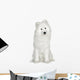 Samoyed  (6 months) Wall Decal