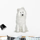 Samoyed  (6 months) Wall Decal