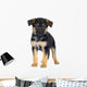 German Shepherd 7 Weeks Alsatian Police Dog Wall Decal