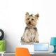 Yorkshire Terrier (2 years) Wall Decal