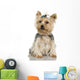 Yorkshire Terrier (2 years) Wall Decal