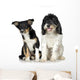 Tibetan Terrier and Puppy Border Collie Wall Decal