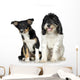 Tibetan Terrier and Puppy Border Collie Wall Decal