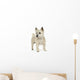 Cairn Terrier (11 years) Wall Decal