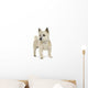 Cairn Terrier (11 years) Wall Decal