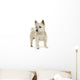 Cairn Terrier (11 years) Wall Decal
