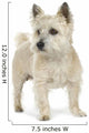 Cairn Terrier (11 years) Wall Decal